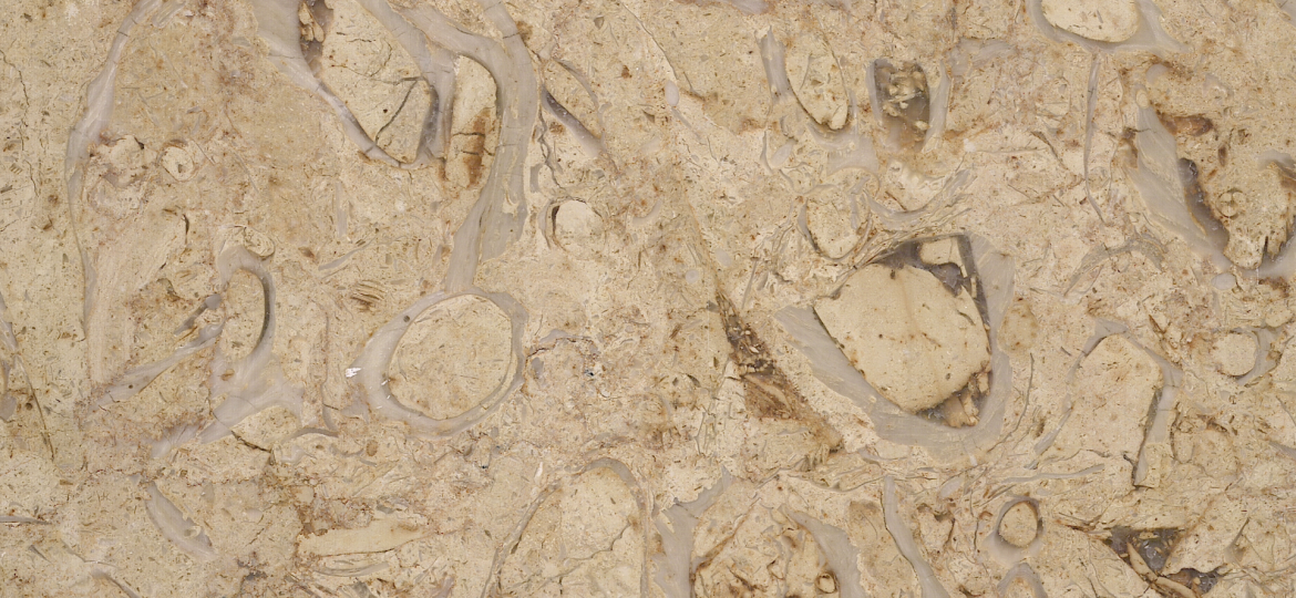 كاترينا سلايدر 1