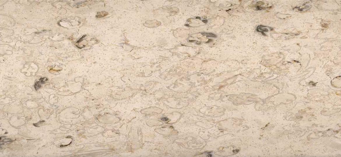 كاترينا سلايدر 2