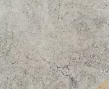 ميلي جراي أحفوريات 1