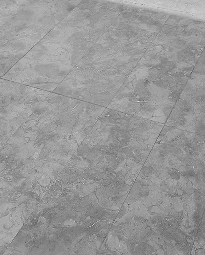 ميلي جراي أحفوريات 2