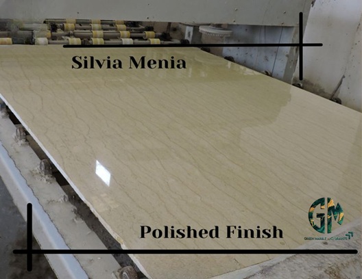 سيلفيا منيا