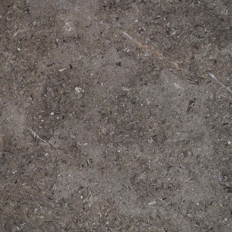 تريستا رمادي